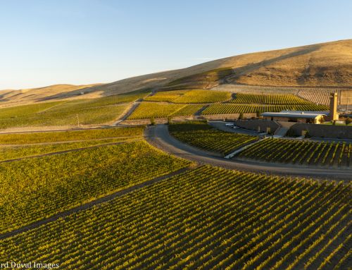 A look at Antinori’s purchase of Washington’s Col Solare